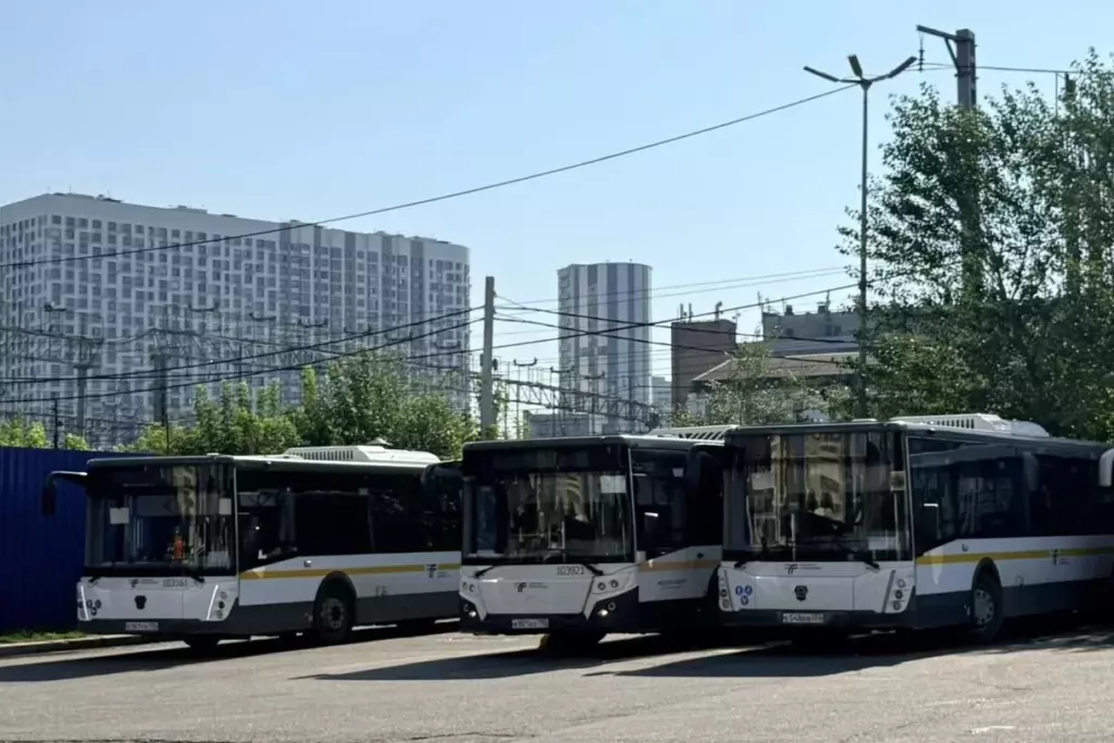 Профилактический рейд «Технический контроль» прошел в Мытищах