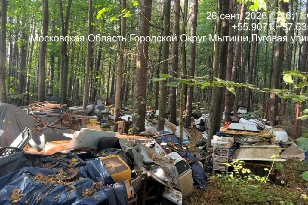 Крупную свалку бытового мусора ликвидировали в Мытищах