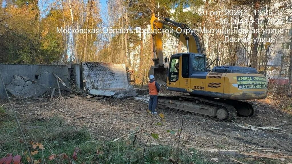 Из зоны захламления в уголок природы: в Мытищах продолжается уборка в лесах